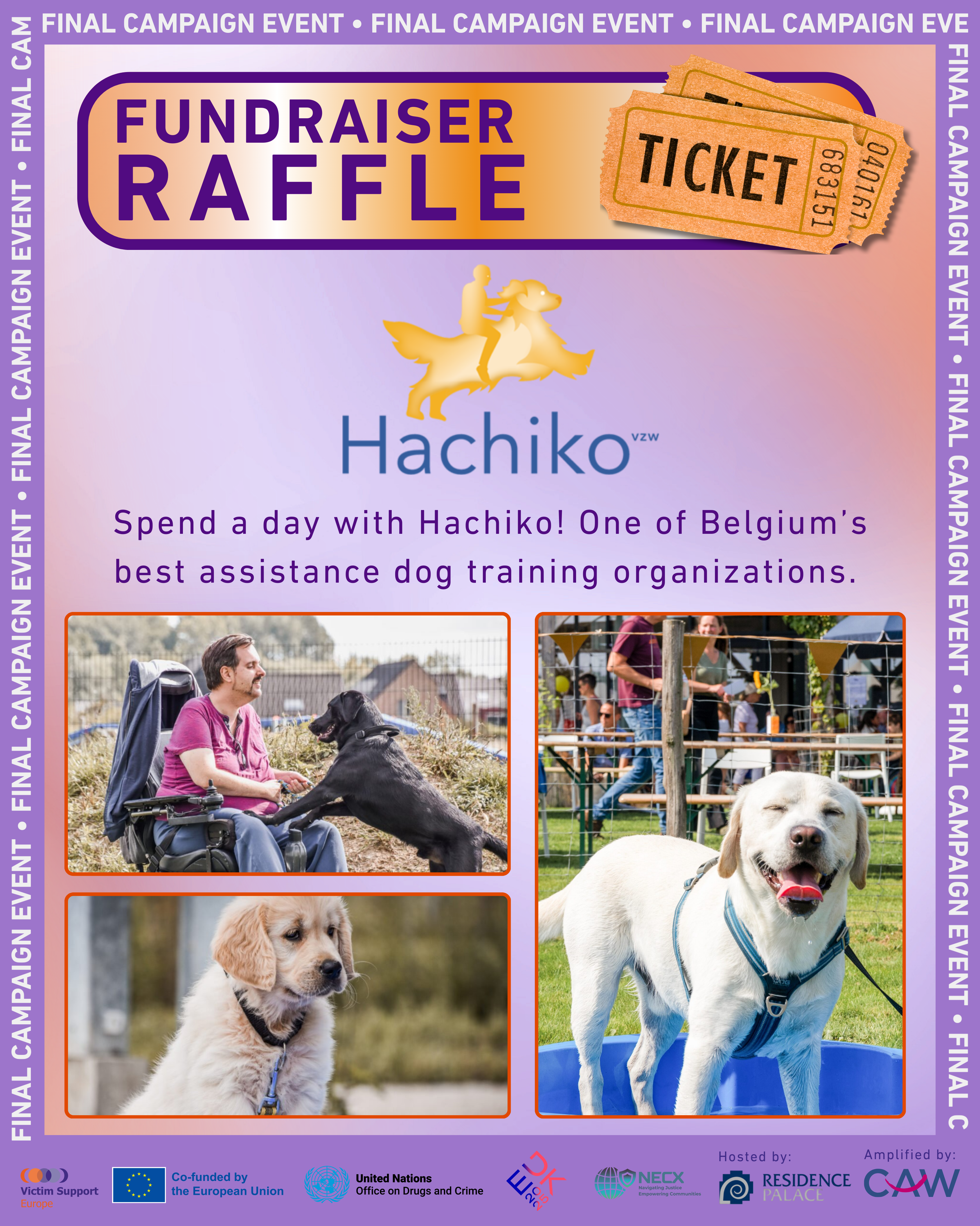 hachiko
